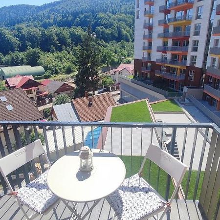 Belle View Sinaia-Free Parking Apartman Kültér fotó