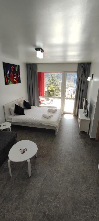 Belle View Sinaia-Free Parking Apartman Kültér fotó