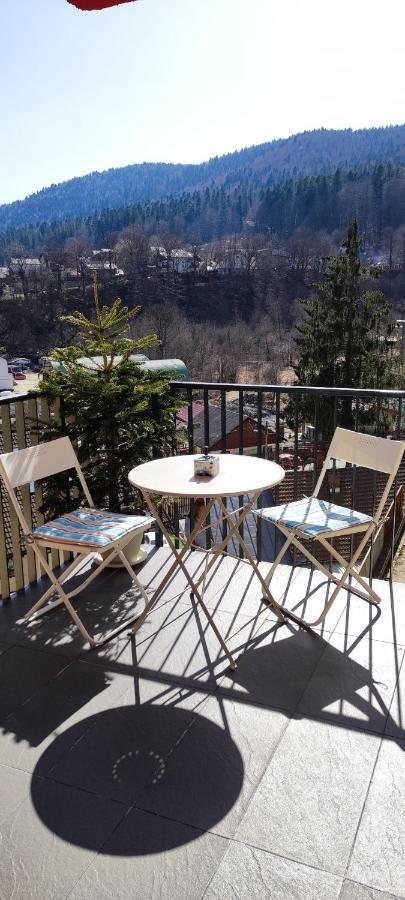 Belle View Sinaia-Free Parking Apartman Kültér fotó