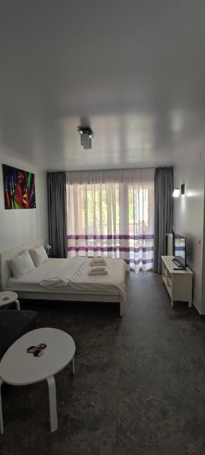 Belle View Sinaia-Free Parking Apartman Kültér fotó