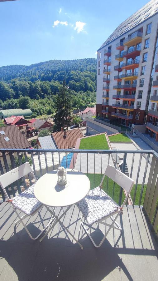 Belle View Sinaia-Free Parking Apartman Kültér fotó
